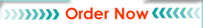 Order Body Burner Online