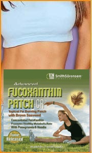 FucoXanthin Patch